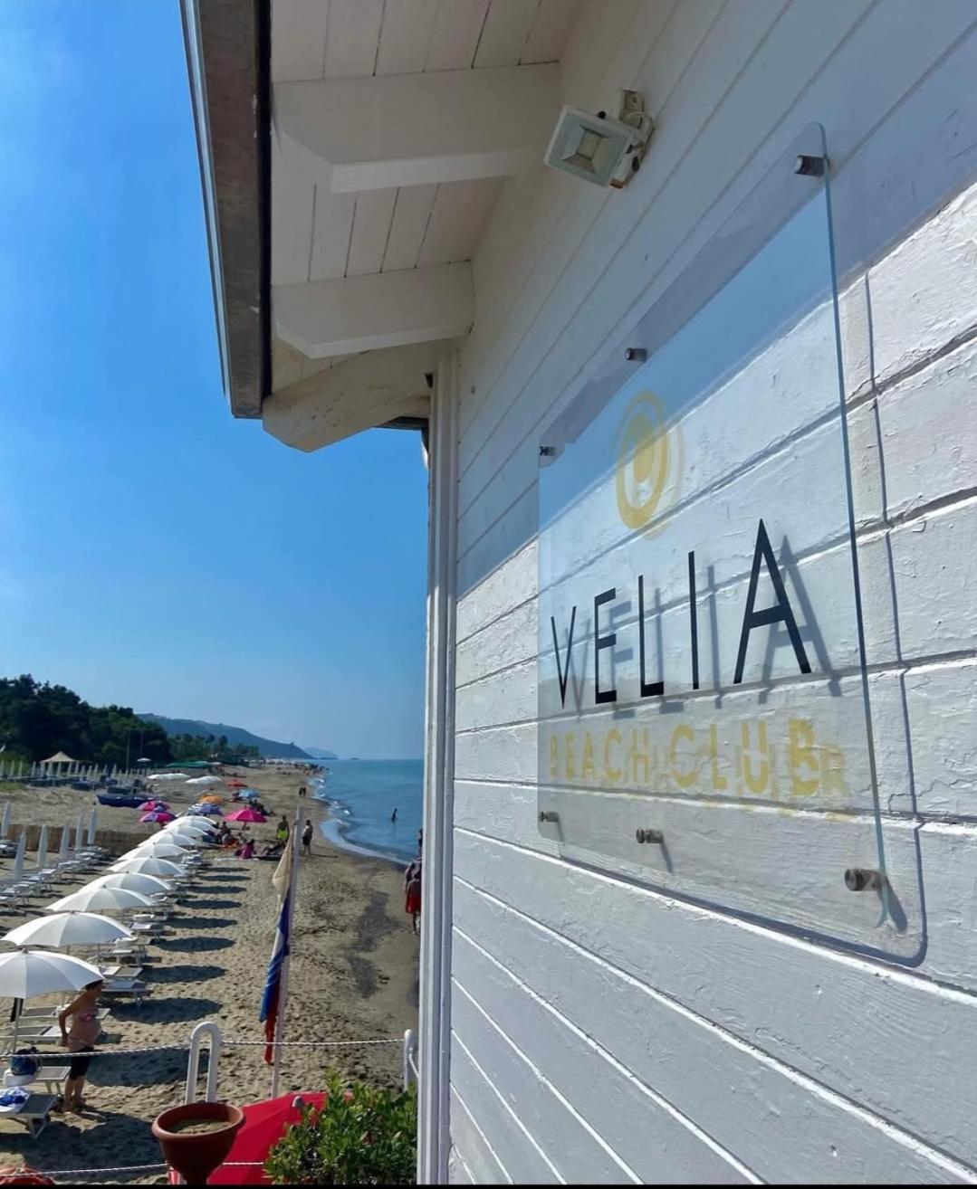 Villa Laura Residence Hotel Apartments & Studios Ascea Eksteriør billede